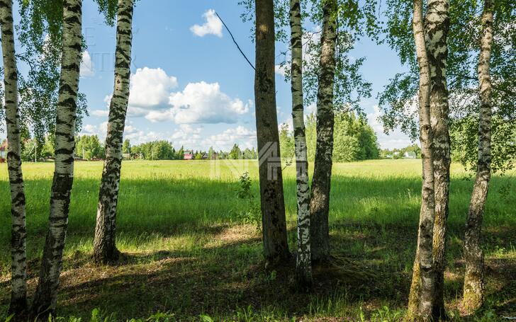 Участок 2 070 сот.
