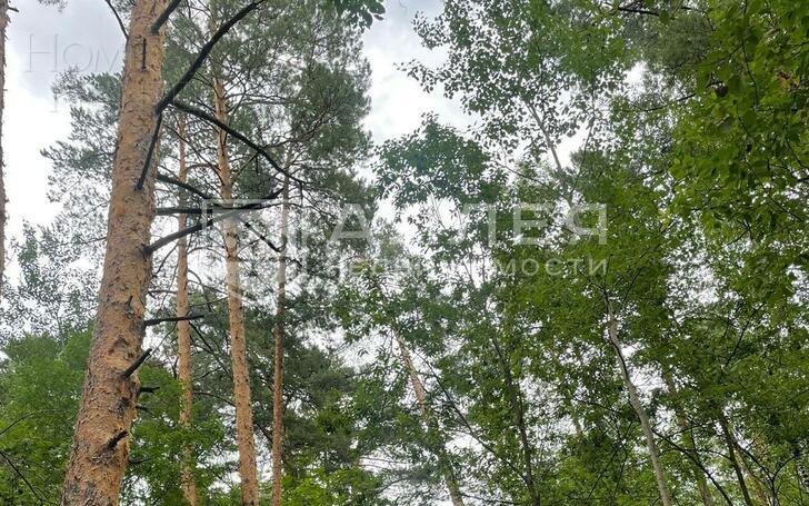 Участок 1 300 сот.
