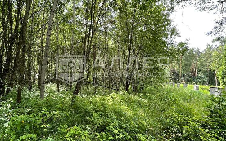 Участок 1 300 сот.