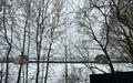 Участок 110 сот.