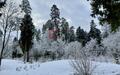 Участок 20 сот. в охраняемом поселке