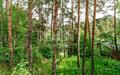 Участок 30 сот. в охраняемом поселке