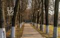 4-этажный таунхаус 395 м² без отделки