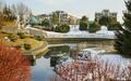 3-этажный таунхаус 264.6 м² с отделкой
