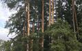 Участок 59.6 сот. в охраняемом поселке