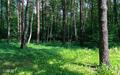 Участок 18.5 сот. в охраняемом поселке