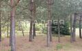 Участок 16 сот. в охраняемом поселке