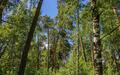Участок 285.6 сот.