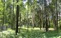 Участок 292.29 сот. в охраняемом поселке
