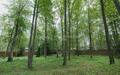 2-этажный коттедж 472 м² с отделкой
