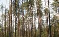 Участок 18 сот.