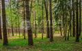 Участок 50 сот. в охраняемом поселке