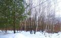 Участок 31 сот.