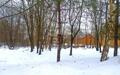 Участок 31 сот.