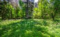 Участок 520 сот. в охраняемом поселке