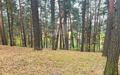Участок 60 сот. в охраняемом поселке