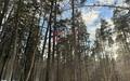 Участок 650 сот. в охраняемом поселке