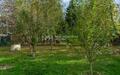 Участок 15 сот.