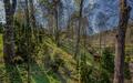 2-этажный коттедж 982 м² с отделкой