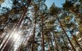 Участок 24 сот. в охраняемом поселке