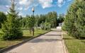 Участок 31 сот.