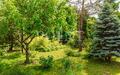 3-этажный коттедж 1 655 м² с отделкой