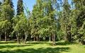 1-этажный коттедж 518 м² с отделкой