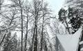 Участок 12.56 сот.