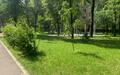 3-КОМН. КВАРТИРА БЕЗ ОТДЕЛКИ 81.7 М² НА 4 ЭТАЖЕ