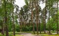 Участок 17.76 сот. в охраняемом поселке