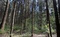 Участок 45 сот. в охраняемом поселке