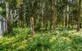 Участок 50 сот. в охраняемом поселке