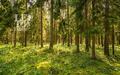Участок 50 сот. в охраняемом поселке