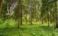 Участок 50 сот. в охраняемом поселке