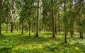 Участок 50 сот. в охраняемом поселке