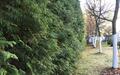 2-этажный коттедж 320 м² с отделкой
