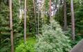 2-этажный коттедж 700 м² с отделкой