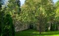 2-этажный коттедж 800 м² с отделкой