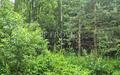 Участок 16 сот.