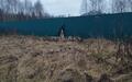 Участок 100 сот.