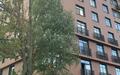 2-КОМН. КВАРТИРА С ОТДЕЛКОЙ 63.2 М² НА 7 ЭТАЖЕ