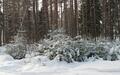Участок 117 сот. в охраняемом поселке