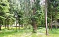 2-этажный коттедж 450 м² с отделкой