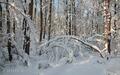 Участок 117 сот. в охраняемом поселке