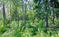 Участок 75 сот. в охраняемом поселке