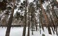 Участок 36 сот. в охраняемом поселке
