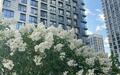 2-КОМН. КВАРТИРА С ОТДЕЛКОЙ 83.9 М² НА 16 ЭТАЖЕ