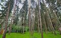 4-этажный коттедж 1 300 м² с отделкой