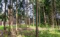 2-этажный коттедж 800 м² без отделки