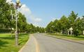 Участок 19 сот. в охраняемом поселке